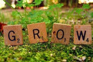 Grow Your Business