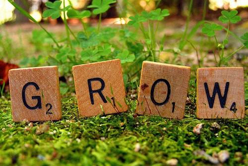 Grow Your Business