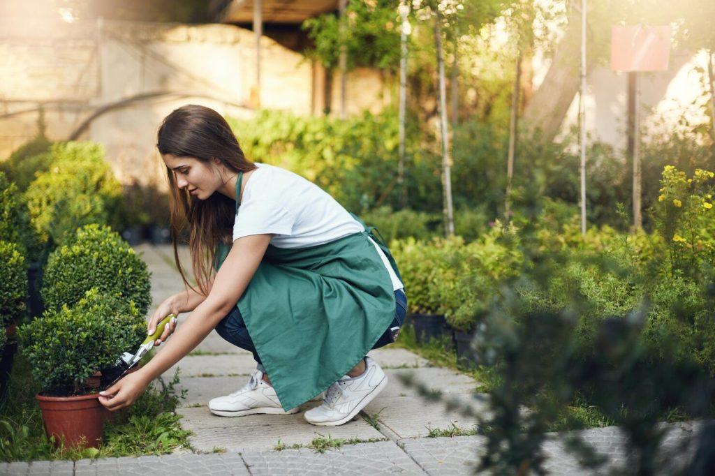 landscaping 5