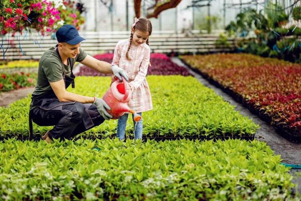 landscaping 7